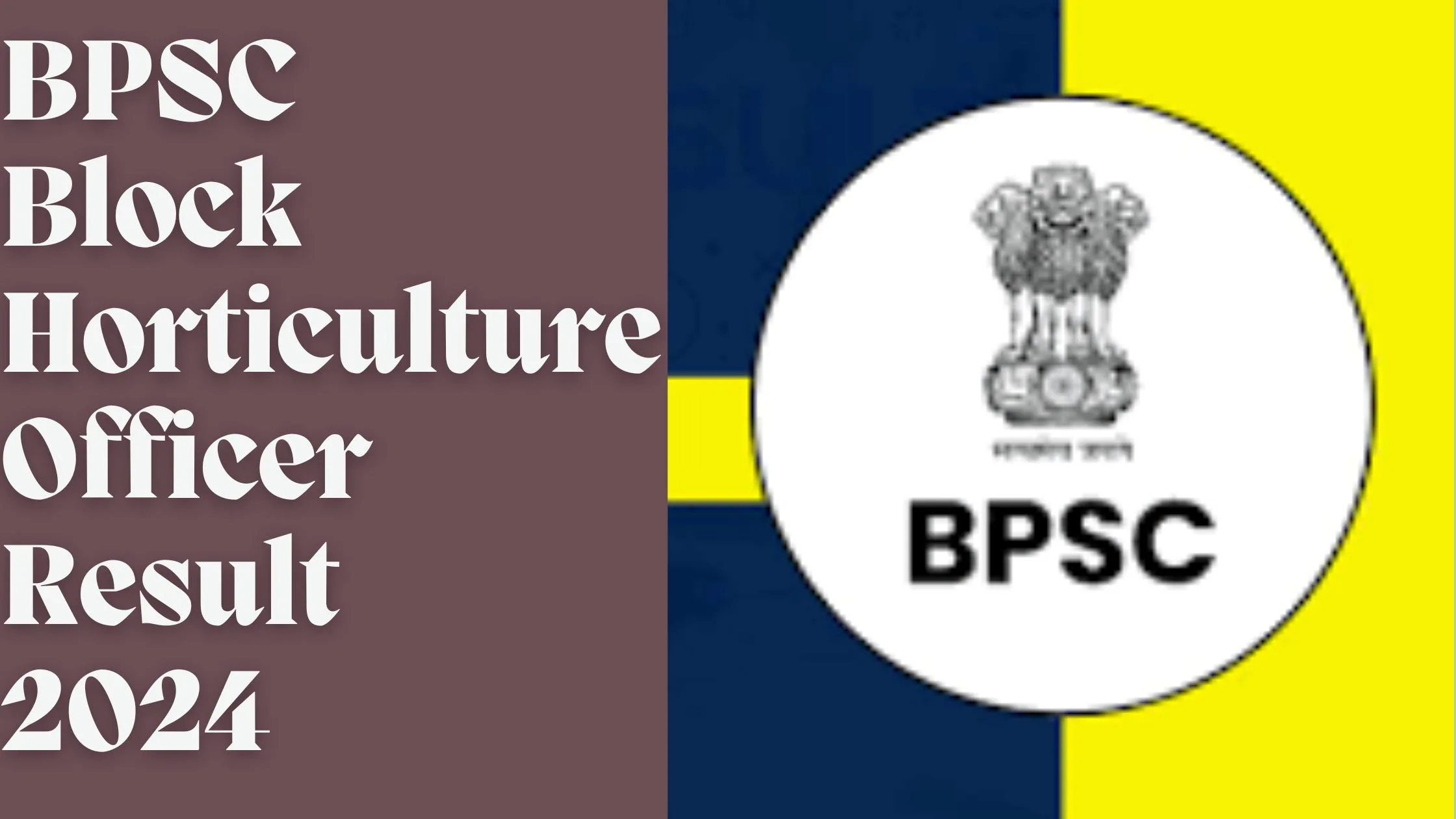 BPSC Block Horticulture Officer Result 2024