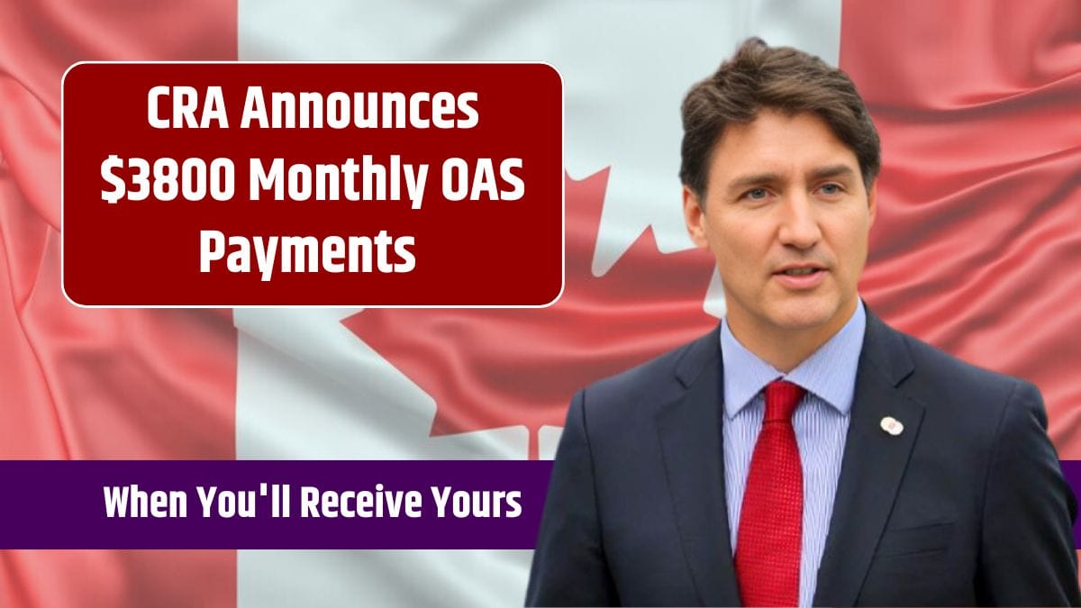 CRA Announces 3800 Monthly OAS Payments Know When You'll Receive Yours