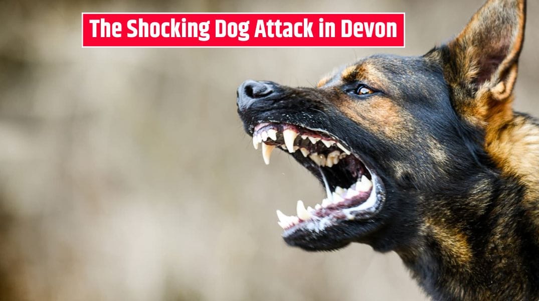 Child Traumatized, Woman Mauled The Shocking Dog Attack in Devon - Blood Everywhere