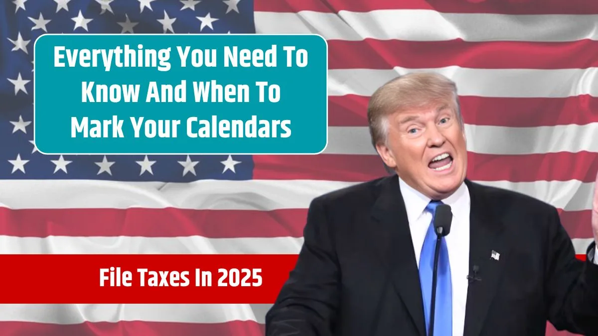 United Taxes 2025: كل ما تحتاج إلى معرفته عن VED